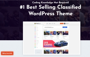best classified WordPress theme in USA 